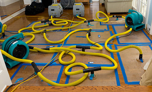 Professional Crawl Space Water Removal technician working in Longbranch, WA